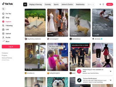 Скриншот сайта tiktok.com